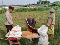 Sinergi Keamanan dan Pertanian, Bhabinkamtibmas Polsek Labuapi Kawal Ketahanan Pangan di Lombok Barat