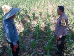 Wujudkan Ketahanan Pangan Nasional, Polsek Labuapi Dorong Warga Manfaatkan Lahan Pekarangan