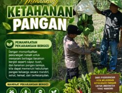 Bhabinkamtimas Polsek Senori Polresta Tuban Polda Jatim Sambang Pekarangan Pangan Bergizi Warga Desa Srndang Guna Mendukung Ketahanan Pangan