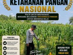 Polri Dukung Astacita, Polsek Semanding Polresta Tuban Turun Cek Tanaman jagung milik Warga di Desa Tegalagung