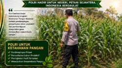 “ANGGOTA POLSEK KEREK POLRESTA TUBAN PANTAU PERTUMBUHAN TANAMAN JAGUNG WARGA DESA BINAAN”