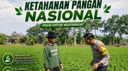 Dukung Astacita, Polsek Palang Polresta Tuban Pantau Langsung Lahan Jagung milik warga Desa Wangun