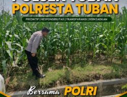 Polsek Grabagan Polresta Tuban Turun Langsung Cek Tanaman Jagung Warga