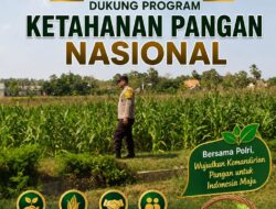 Polri Dukung Astacita, Polsek Semanding Polresta Tuban Turun Cek Tanaman jagung milik Warga di Kelurahan karang