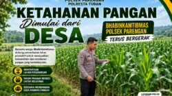 DUKUNG KETAHANAN PANGAN NASIONAL, BHABINKAMTIBMAS DESA PACING POLSEK PARENGAN POLRESTA TUBAN MONITORING LAHAN JAGUNG MILIK PETANI DI DESA PACING KEC. PARENGAN.
