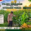 Anggota Polsek Singgahan Polresta Tuban Turun Cek Tanaman jagung Warga di Desa Lajo lor