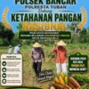 Tingkatkan Ketahanan Pangan Nasional, Anggota Polsek Bancar Tanam Jagung Bersama Warga Desa Ngujuran