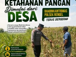 Polri Dukung Astacita, Polsek Rengel Polresta Tuban Turun Cek Tanaman Jagung Warga di Desa Pekuwon