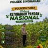 Anggota Polsek Singgahan Polresta Tuban Turun Cek Tanaman jagung Warga di Desa Mulyoagung