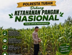 Anggota Polsek Singgahan Polresta Tuban Turun Cek Tanaman jagung Warga di Desa Mulyoagung