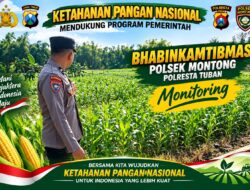 Polsek Montong Polresta Tuban Turun Cek Tanaman jagung Warga di Desa Pakel