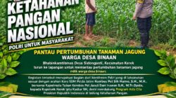 PANTAU PERTUMBUHAN JAGUNG, POLSEK KEREK POLRESTA TUBAN DUKUNG KETAHAN PANGAN NASIONAL
