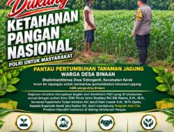 PANTAU PERTUMBUHAN JAGUNG, POLSEK KEREK POLRESTA TUBAN DUKUNG KETAHAN PANGAN NASIONAL