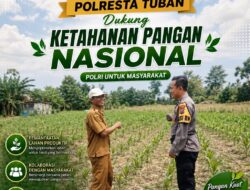 Dukung Astacita, Polsek Palang Polresta Tuban Pantau Langsung Lahan Jagung milik warga Desa Glodog