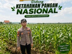 Anggota Polsek Singgahan Polresta Tuban Turun Cek Tanaman jagung Warga di Desa Lajo Lor