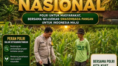 Polsek Plumpang Polresta Tuban Turun Langsung Cek Tanaman Jagung Warga