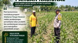 DALAM RANGKA MENDUKUNG PROGRAM ASTACITA, BHABINKAMTIBMAS DESA KUMPULREJO POLSEK PARENGAN POLRESTA TUBAN SAMBANGI PETANI JAGUNG DI DESA KUMPULREJO GUNA DUKUNG KETAHANAN PANGAN.