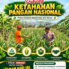 “ANGGOTA POLMAS PANTAU PERKEMBANGAN TANAMAN JAGUNG PETANI DI DESA BINAAN”