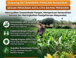 “ANGGOTA POLMAS PANTAU PERKEMBANGAN TANAMAN JAGUNG PETANI DI DESA BINAAN”