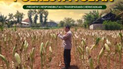Polsek Tuban Pantau Lahan Jagung, Dukung Ketahanan Pangan Berkelanjutan