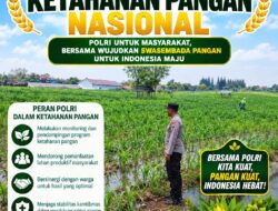 Polri Dukung Astacita, Polsek Semanding Polresta Tuban Turun Cek Tanaman jagung milik Warga di Desa Tegalagung