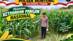 Polsek Montong Polresta Tuban Turun Cek Tanaman jagung Warga di Desa Pakel