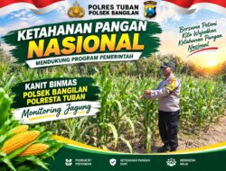 Polsek Bangilan Dukung Ketahanan Pangan Nasional melalui Monitoring Tanaman Jagung