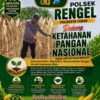 ANGGOTA POLSEK GRABAGAN SAMBANG DESA BINAAN, PANTAU LAHAN JAGUNG DAN MEMASTIKAN SISTEM IRIGASI MASIH LANCAR