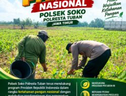 Polsek Soko Polresta Tuban Turun Langsung Cek Tanaman Jagung Warga