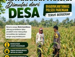 DALAM RANGKA MENDUKUNG PROGRAM KETAHANAN PANGAN, BHABINKAMTIBMAS DESA PACING POLSEK PARENGAN POLRESTA TUBAN SAMBANGI PETANI JAGUNG DI DESA PACING KEC. PARENGAN.