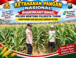Polsek Montong Polresta Tuban Turun Cek Tanaman jagung Warga di Desa Ngulahan