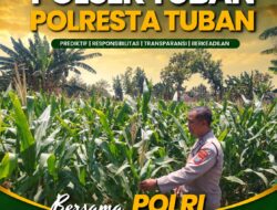 Polsek Tuban Pantau Perkembangan Tanaman Jagung, Dukung Ketahanan Pangan Nasional