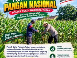 Polsek Soko Polresta Tuban Turun Langsung Cek Tanaman Jagung Warga