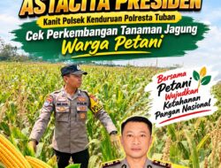 Dukung Program Astacita Presiden, Kanit Binmas Polsek Kenduruan Polresta Tuban Cek Perkembangan Tanaman Jagung Warga