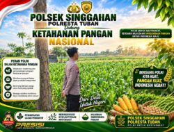 Anggota Polsek Singgahan Polresta Tuban Turun Cek Tanaman jagung Warga di Desa Mulyorejo