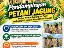 Mendukung Program Ketahanan Pangan, Bhabinkamtibmas Monitoring Pertumbuhan Jagung