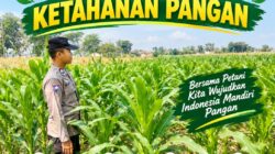 Dukung Program Asta Cita Presiden, Anggota Bhabinkamtibmas Polsek Senori Polresta Tuban Lakukan Pemantauan Tanaman Jagung Warga Desa Jatisari