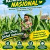 Polsek Soko Polresta Tuban Turun Langsung Cek Tanaman Jagung Warga