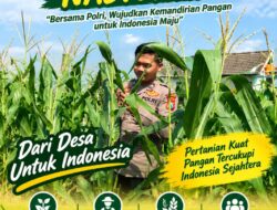 Polsek Soko Polresta Tuban Turun Langsung Cek Tanaman Jagung Warga