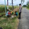 Wujudkan Ketahanan Pangan, Polsek Tambakboyo Sambangi Petani Jagung Saat Istirahat
