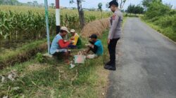 Wujudkan Ketahanan Pangan, Polsek Tambakboyo Sambangi Petani Jagung Saat Istirahat