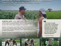Polsek Plumpang Polresta Tuban Turun Langsung Cek Tanaman Jagung Warga