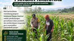 BHABINKAMTIBMAS DESA KUMPULREJO POLSEK PARENGAN POLRESTA TUBAN SAMBANG PETANI JAGUNG UNTUK MENDUKUNG KETAHANAN PANGAN DAN ASTACITA PRESIDEN RI