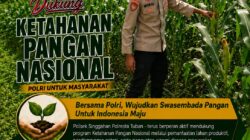 Anggota Polsek Singgahan Polresta Tuban Turun Cek Tanaman jagung Warga di Desa Mulyoagung
