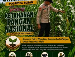 Anggota Polsek Singgahan Polresta Tuban Turun Cek Tanaman jagung Warga di Desa Mulyoagung