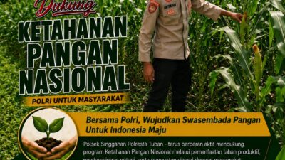 Anggota Polsek Singgahan Polresta Tuban Turun Cek Tanaman jagung Warga di Desa Mulyoagung