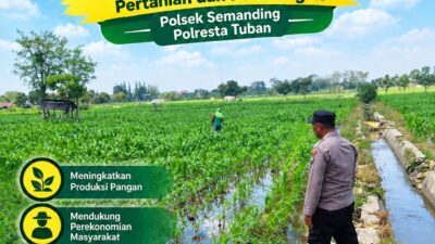 Polri Dukung Astacita, Polsek Semanding Polresta Tuban Turun Cek Tanaman jagung milik Warga di Desa Tegalagung