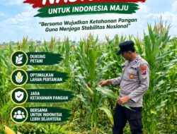 Polsek Soko Polresta Tuban Turun Langsung Cek Tanaman Jagung Warga