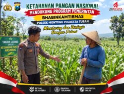 Polsek Montong Polresta Tuban Turun Cek Tanaman jagung Warga di Desa Ngulahan