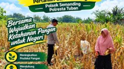 Polri Dukung Astacita, Polsek Semanding Polresta Tuban Turun Cek Tanaman jagung milik Warga di Desa Tegalagung